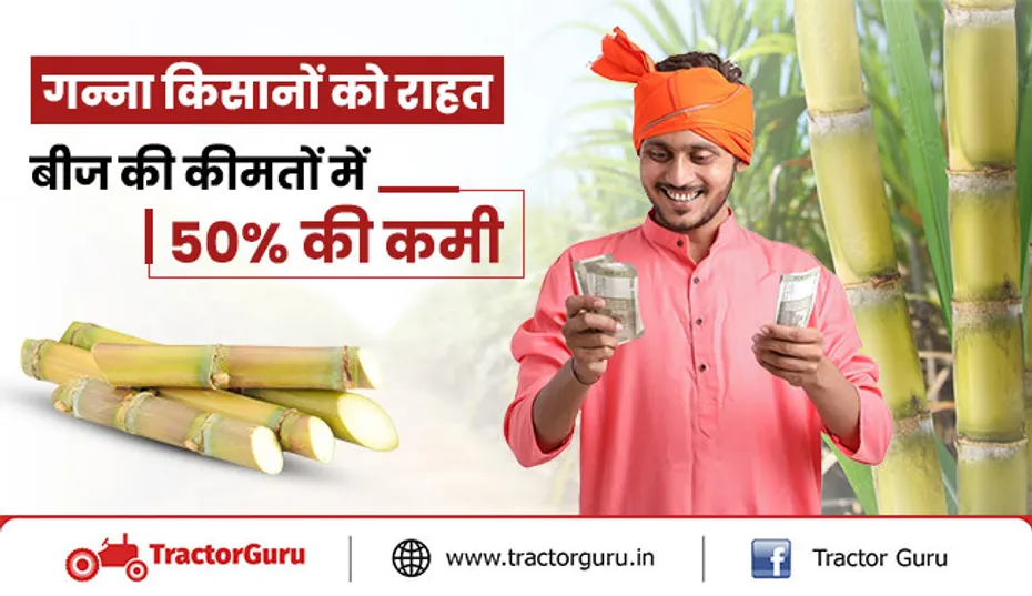 गन्ना किसानों की बढ़ेगी आय कीमतों में 50% कटौती, मिलेगा अधिक लाभ