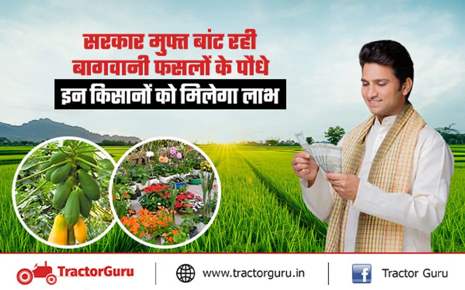 Horticultural Crop : छोटे किसानों को मिलेंगे सरकार मुफ्त बांट रही बागवानी फसलों के पौधे