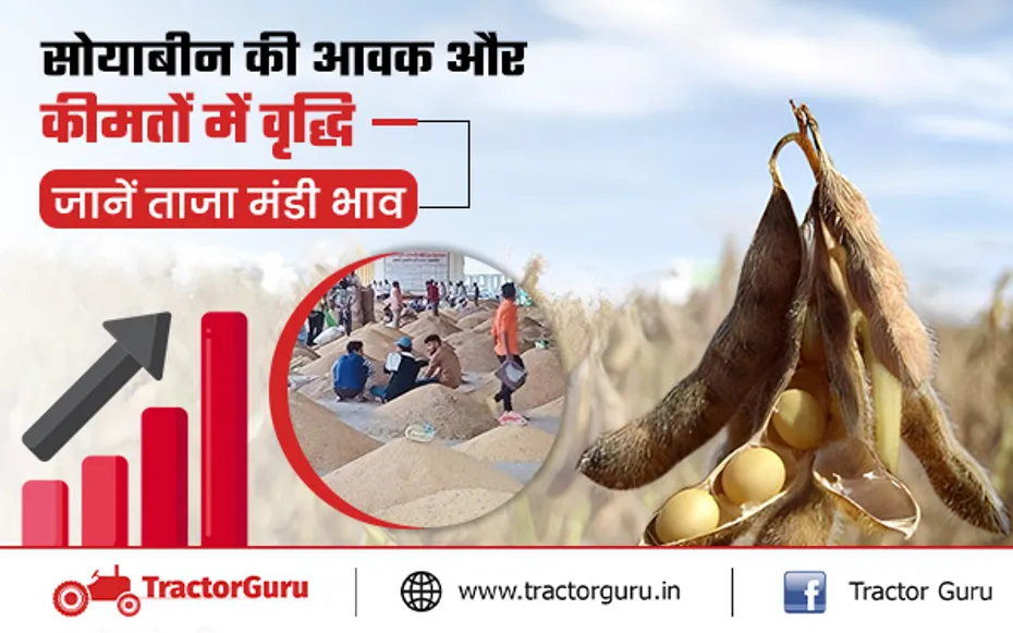 मंडी भाव : टॉप 10 बाजारों में सोयाबीन की आवक और कीमतों में वृद्धि