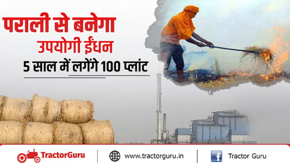 पराली से बनेगा उपयोगी ईंधन, 5 साल में लगेंगे 100 प्लांट जानें योजना की पूरी जानकारी