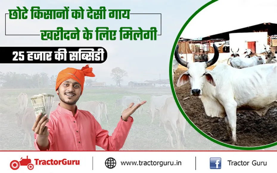 छोटे किसानों को देसी गाय खरीदने पर देगी 25 हजार की सब्सिडी,यहाँ करें आवेदन