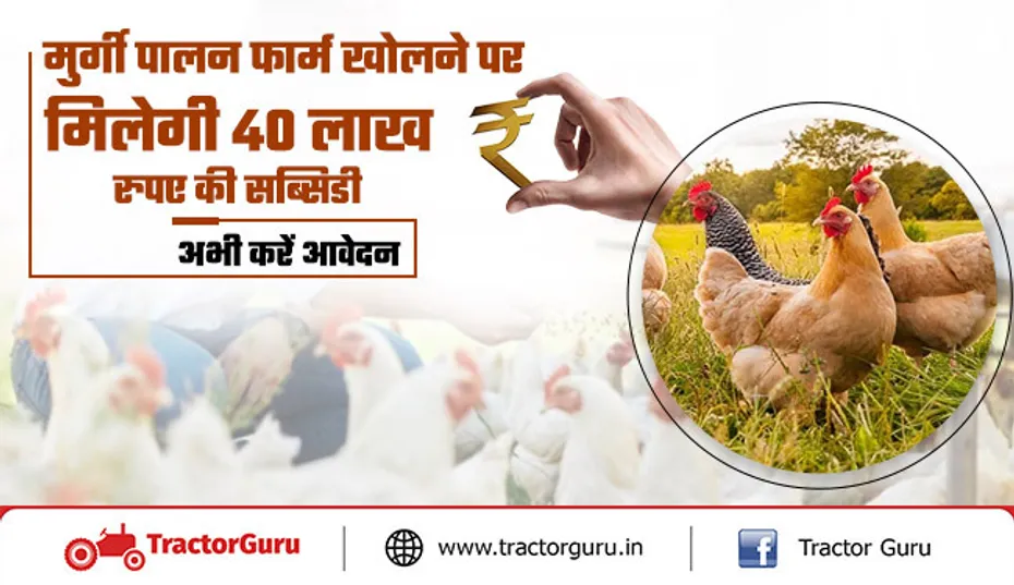 मुर्गी पालन फार्म खोलने पर मिलेगी 40 लाख रुपए की सब्सिडी, अभी करें आवेदन