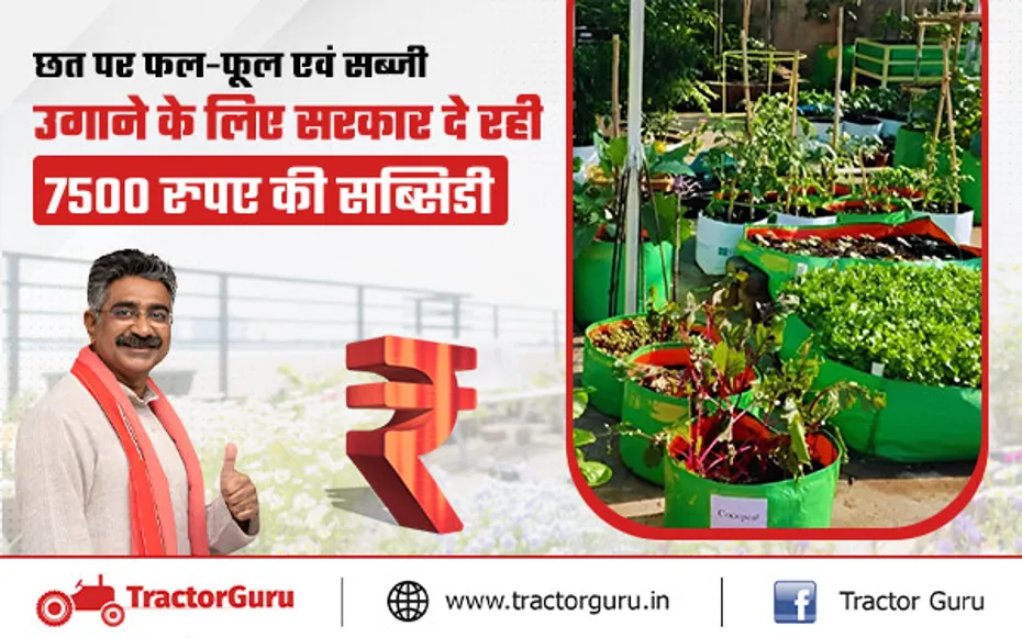 Horticulture Crops : छत पर या गमले में फल, फूल, सब्जी उगाने पर 7500 रुपए की सब्सिडी