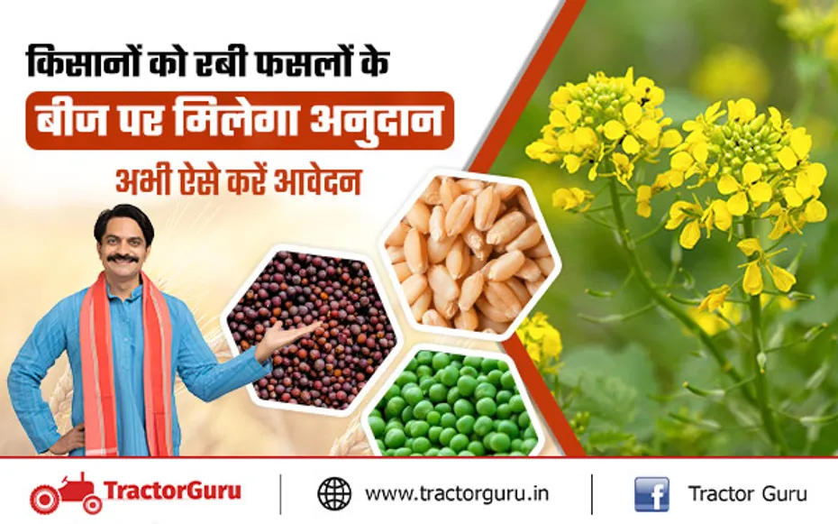 Rabi Crops: किसानों को रबी फसलों  के बीज पर सब्सिडी, अभी करें आवेदन