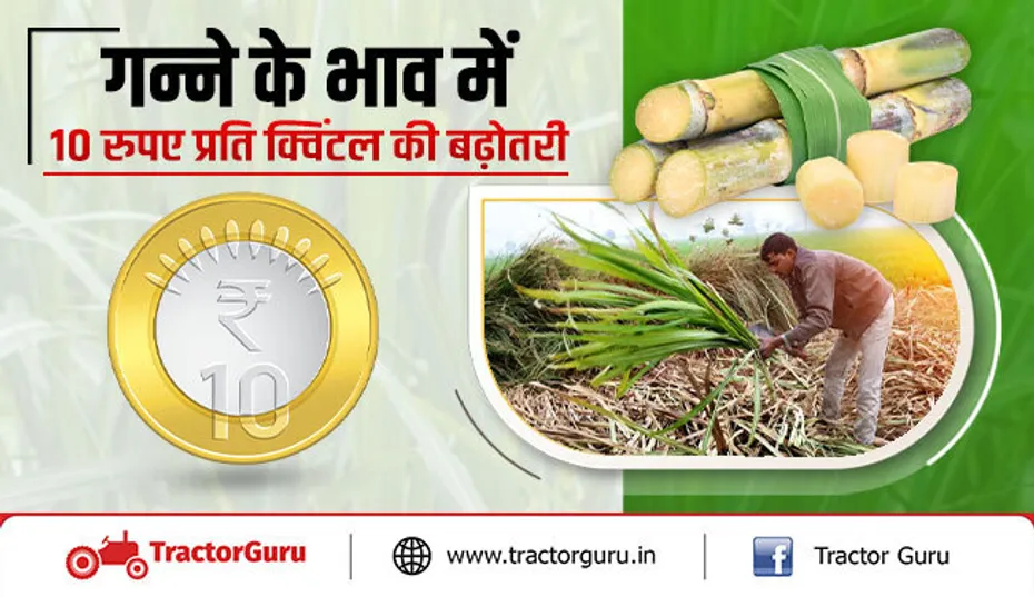 गन्ना रेट : गन्ने के भाव में 10 रुपए की वृद्धि से किसानों में खुशी की लहर