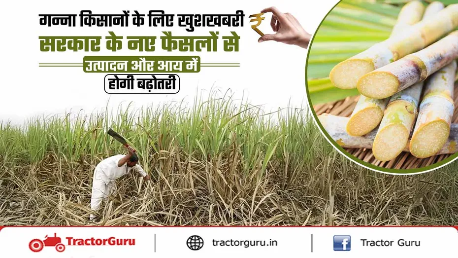 सरकार के नए फैसलों से गन्ना उत्पादन और आय में होगी बढ़ोतरी