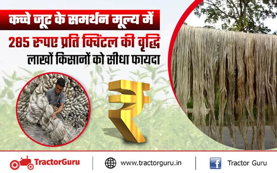 MSP for raw jute: कच्चे जूट के समर्थन मूल्य में 285 रुपए प्रति क्विंटल की वृद्धि