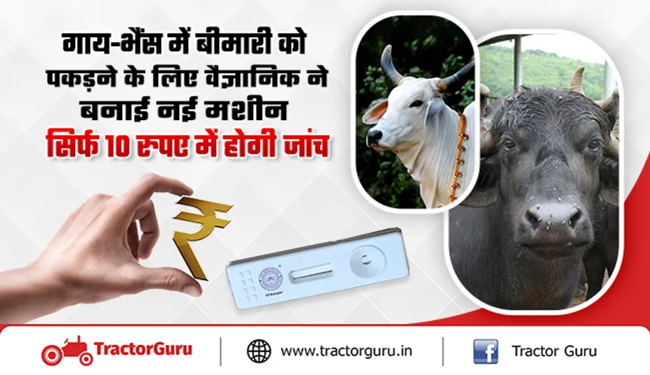 गाय-भैंस को बड़ी बीमारियों से बचाएगी ये मशीन, सिर्फ 10 रुपए में होगी जांच