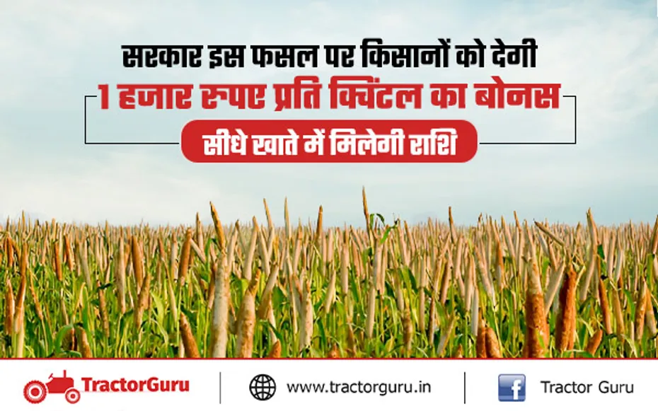 किसानों को सौगात, 1 हजार रुपए प्रति क्विंटल के बोनस पर सरकार खरीदेगी यह फसल