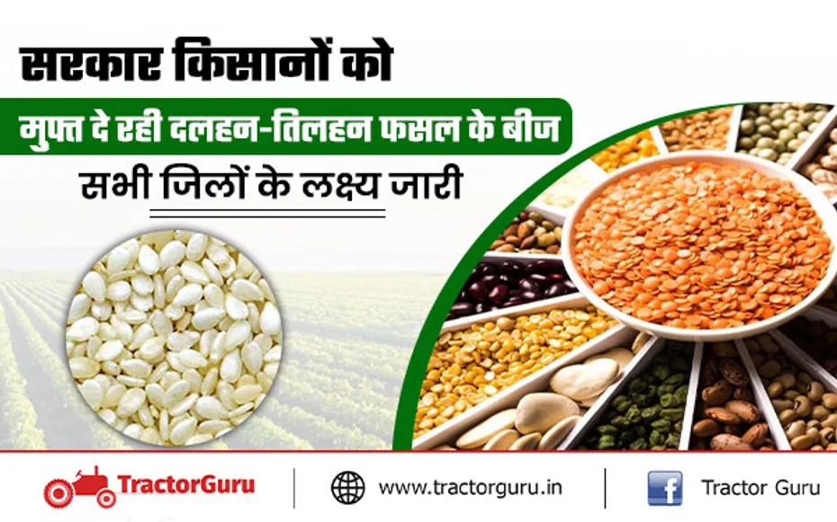 सरकार किसानों को मुफ्त दे रही दलहन-तिलहन फसल के बीज, 4 लाख से अधिक पैकेट बांटने की तैयारी