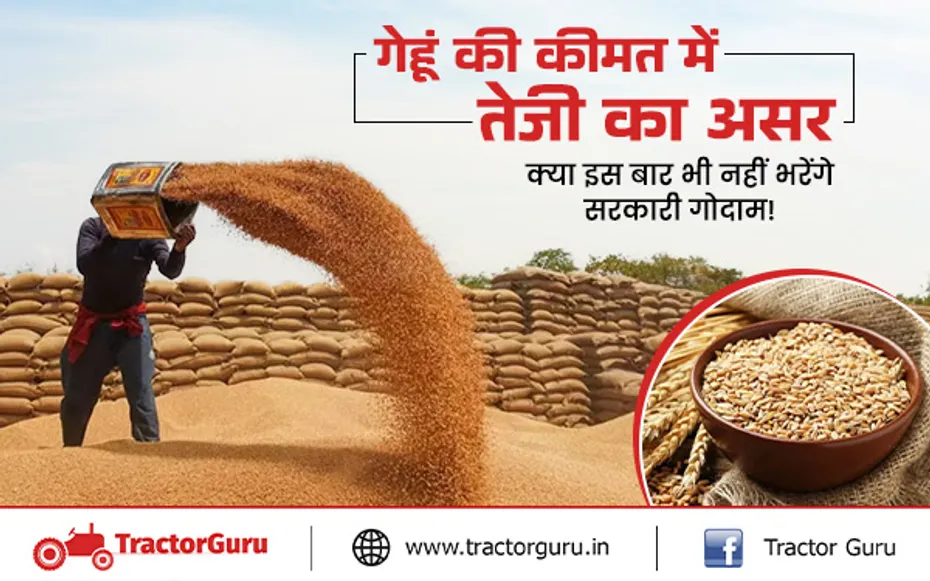 Wheat Price: किसानों को MSP से ज्यादा बाजार में मिल रही गेहूं की कीमत