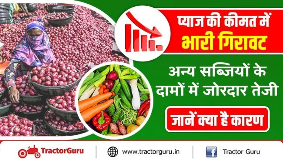 प्याज की कीमत में भारी गिरावट, अन्य सब्जियों के दामों में जोरदार तेजी, जानें क्या है कारण