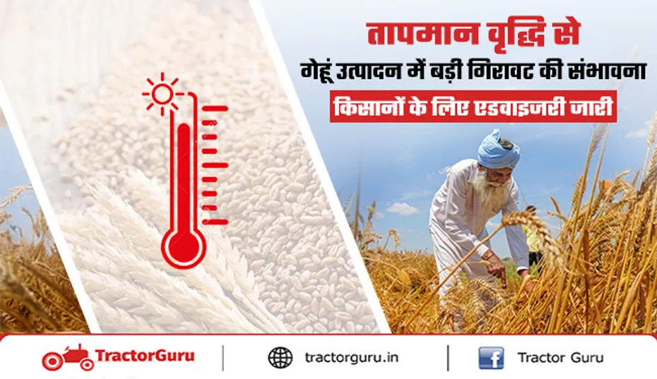 तापमान वृद्धि से राज्यों में गेहूं उत्पादन में बड़ी गिरावट की संभावना