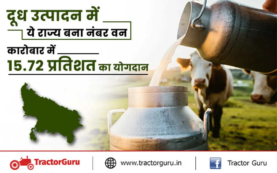 नेशनल मिल्क डे :दूध उत्पादन में ये राज्य बना नंबर वन, करोबार में 15.72 प्रतिशत का योगदान