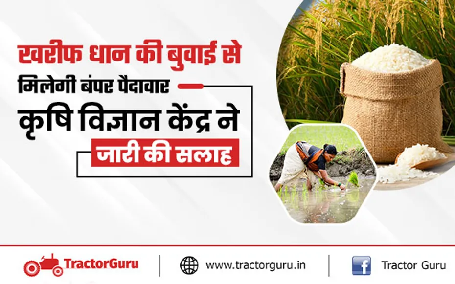 खरीफ धान की बुवाई से मिलेगी बंपर पैदावार, कृषि विज्ञान केंद्र ने जारी की सलाह