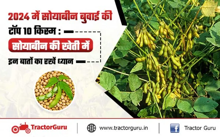सोयाबीन की टॉप 10 उन्नत किस्म: जानें खेती के लिए उपयोगी टिप्स