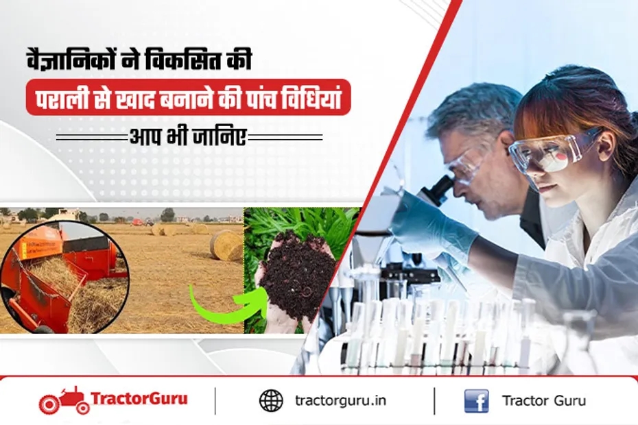 Stubble Burning: वैज्ञानिकों ने बताई पराली से खाद बनाने की 5 बेहतरीन तकनीकें