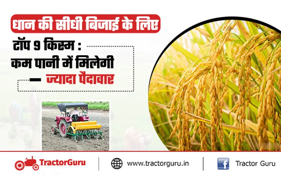 धान की सीधी बिजाई के लिए टॉप 9 किस्म : कम समय में मिलेगा ज्यादा उत्पादन