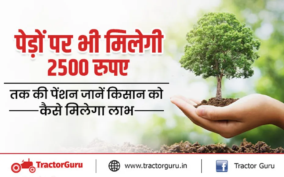 पेड़ों पर भी मिलेगी 2500 रुपए तक की पेंशन जानें किसान को कैसे मिलेगा लाभ