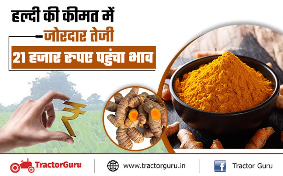 Turmeric Price : हल्दी की कीमत में जोरदार तेजी, 21 हजार रुपए पहुंचा भाव