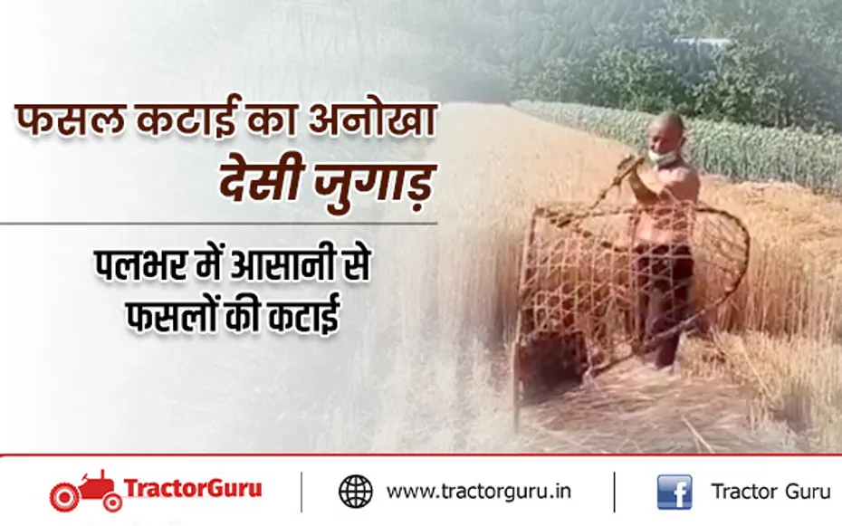 फसल कटाई का अनोखा देसी जुगाड़, पलभर में आसानी से फसलों की कटाई