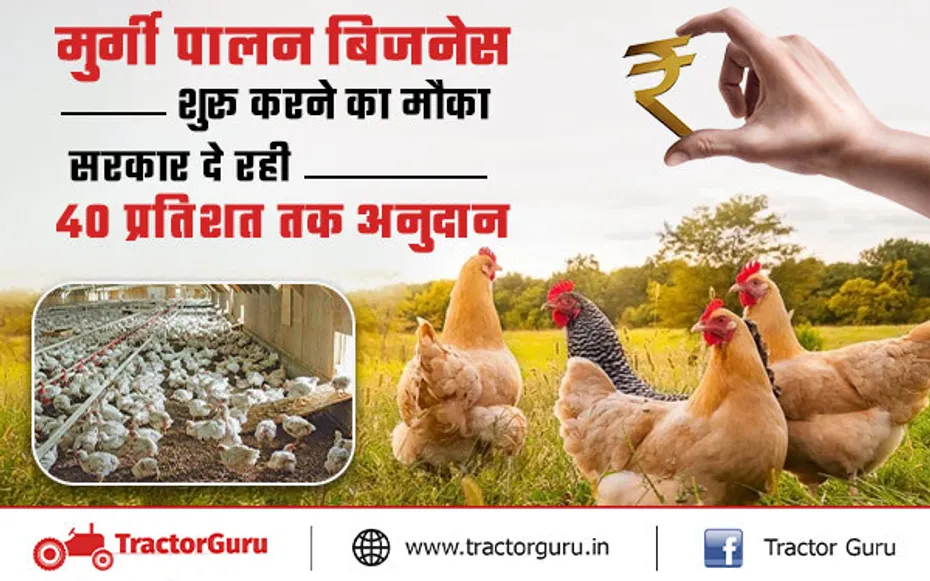 कुक्कुट पालन योजना : मुर्गी पालन बिजनेस शुरू करने पर सरकार से मिलेगी 40% तक सब्सिडी, ऐसे करें आवेदन