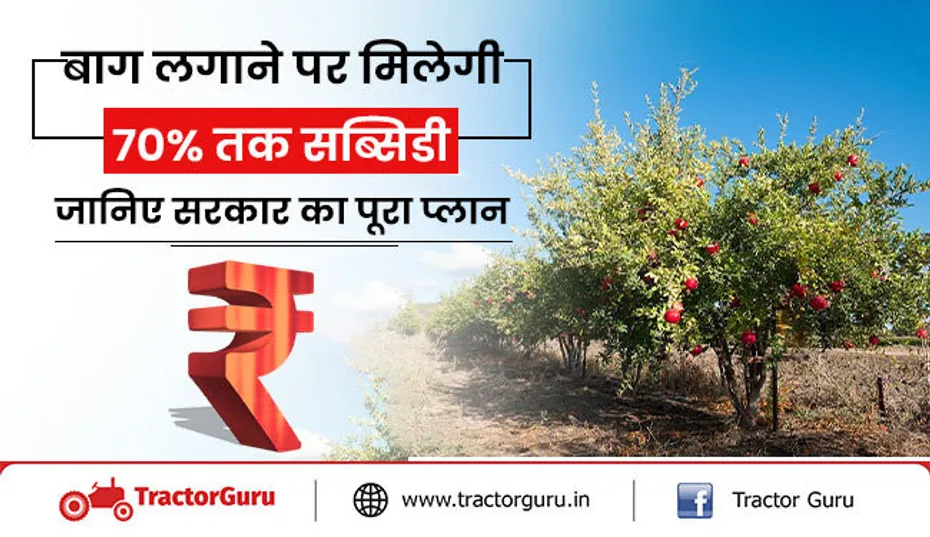 बाग लगाने पर मिलेगी 70% तक सब्सिडी, जानिए सरकार का पूरा प्लान