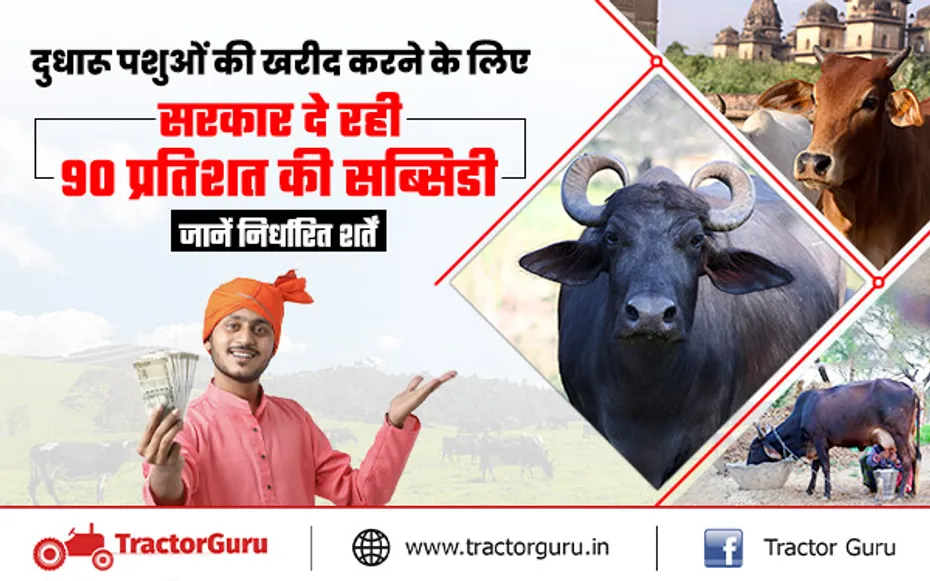 पशुधन विकास योजना : डेयरी फार्मिंग के लिए मिलेगी 90 प्रतिशत सब्सिडी, जानें पूरी डिटेल्स