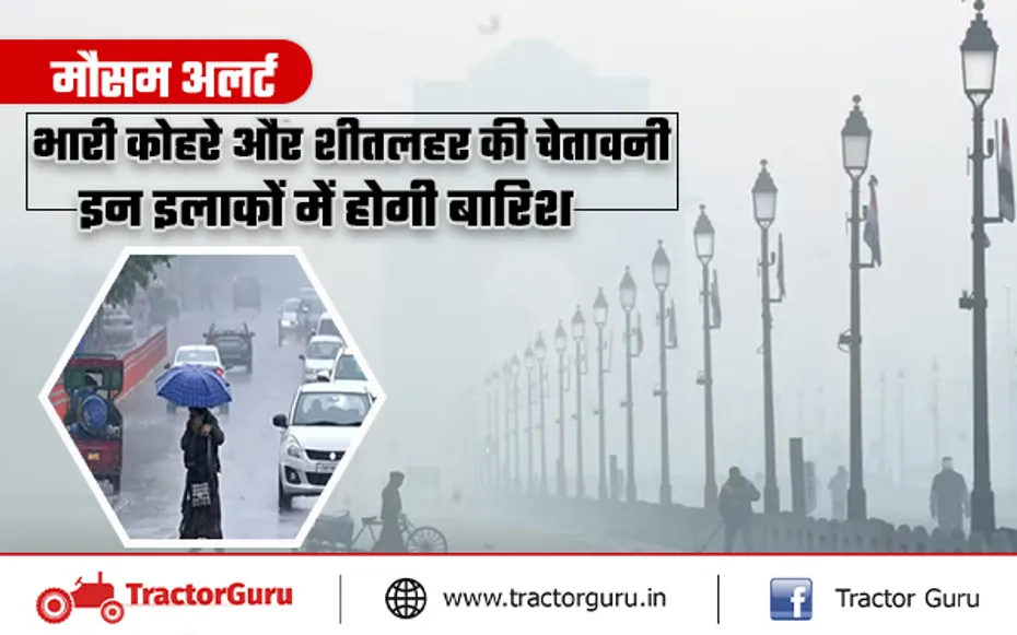 मौसम अलर्ट : भारी कोहरे और शीतलहर की चेतावनी, इन इलाकों में होगी बारिश