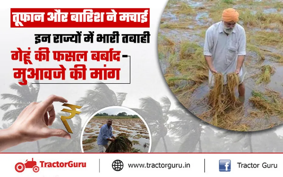 Weather : तूफान और बारिश ने मचाई इन राज्यों में भारी तबाही, गेहूं की फसल बर्बाद