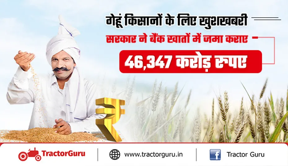 Wheat Procurement: सरकार ने किसानों के बैंक खातों में जमा कराए 46,347 करोड़ रुपए