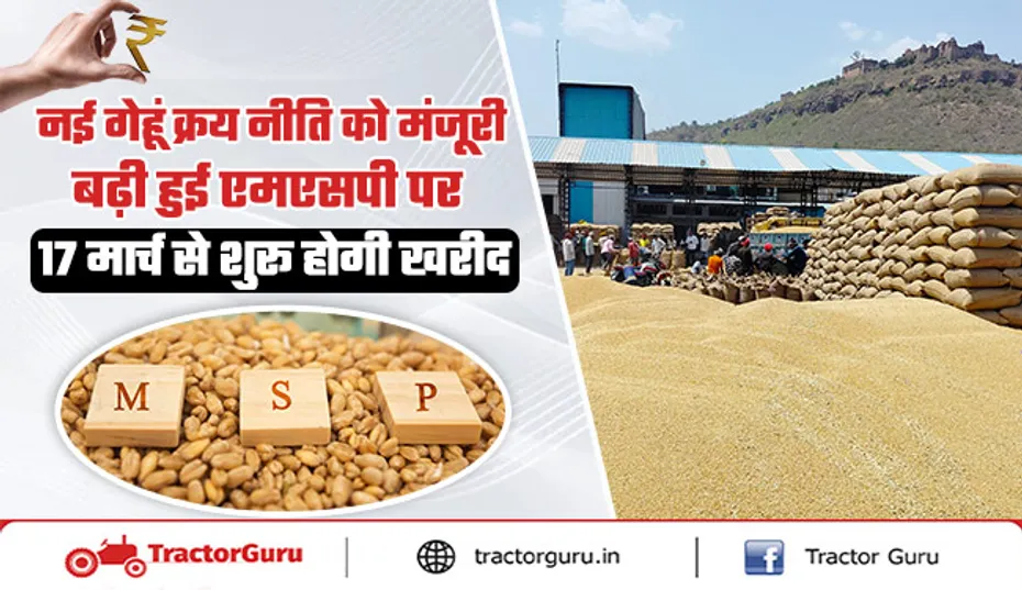 नई गेहूं क्रय नीति : बढ़ी एमएसपी पर 17 मार्च से शुरू गेहूं की खरीद