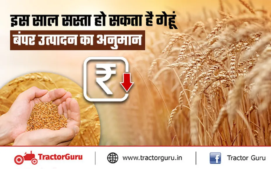 मंडियों में 1 अप्रैल से शुरू होगी गेहूं की खरीद, 72 घंटे में मिलेगा एमएसपी भुगतान