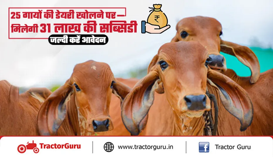 25 गायों की डेयरी खोलने पर मिलेगी 31 लाख की सब्सिडी, जल्दी करें आवेदन