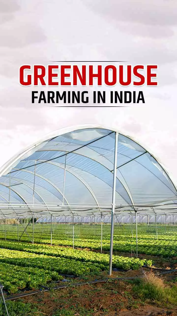 Types Of Greenhouse Farming In India