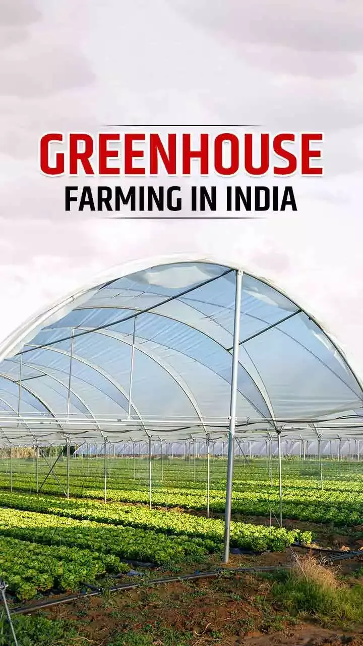 Greenhouse Farming In India Crops Subsidy
