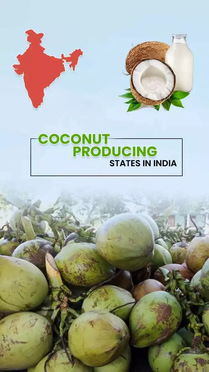 Top 5 Coconut Production States In India