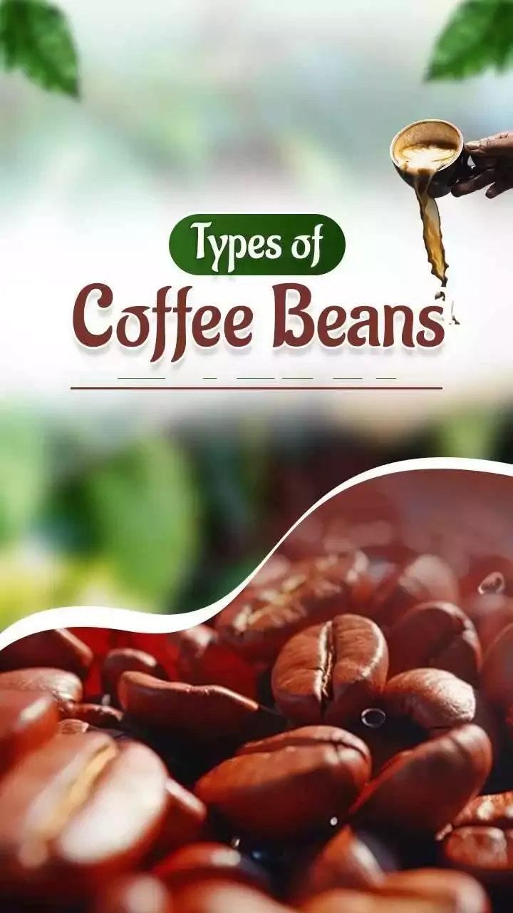 Top 5 Different Types of Coffee Beans