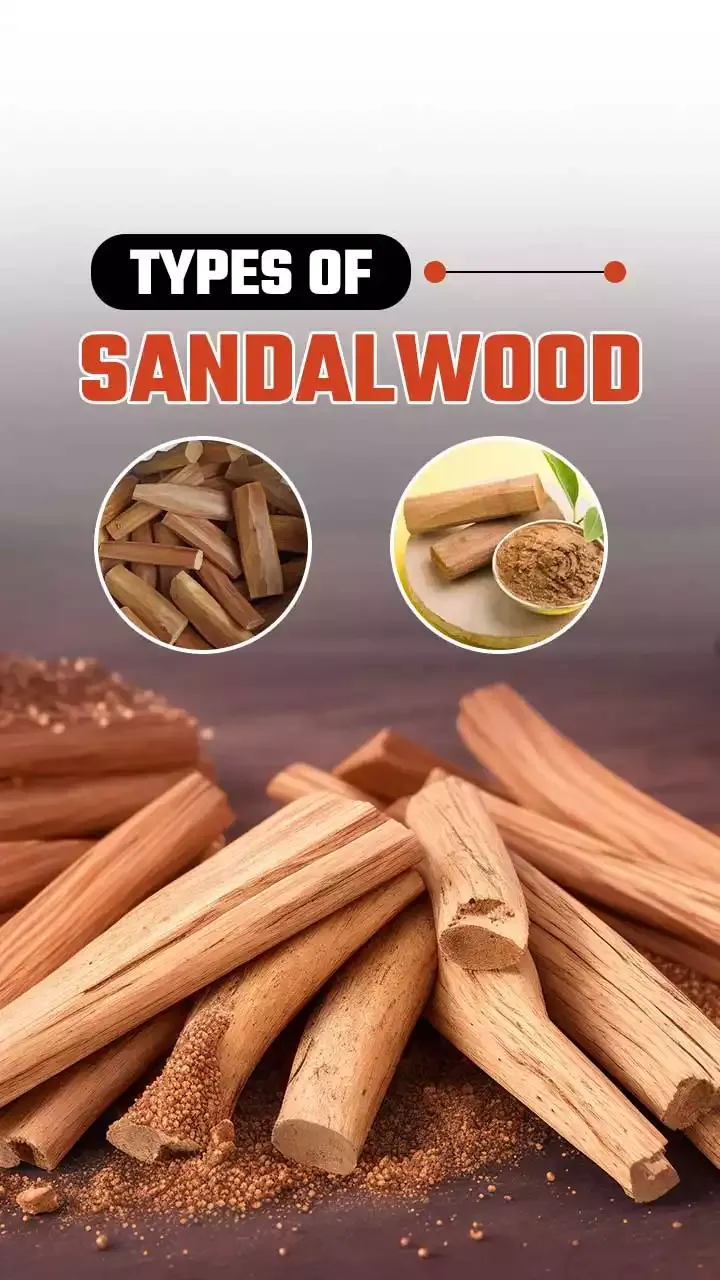 Top 5 Different Types of Sandalwood