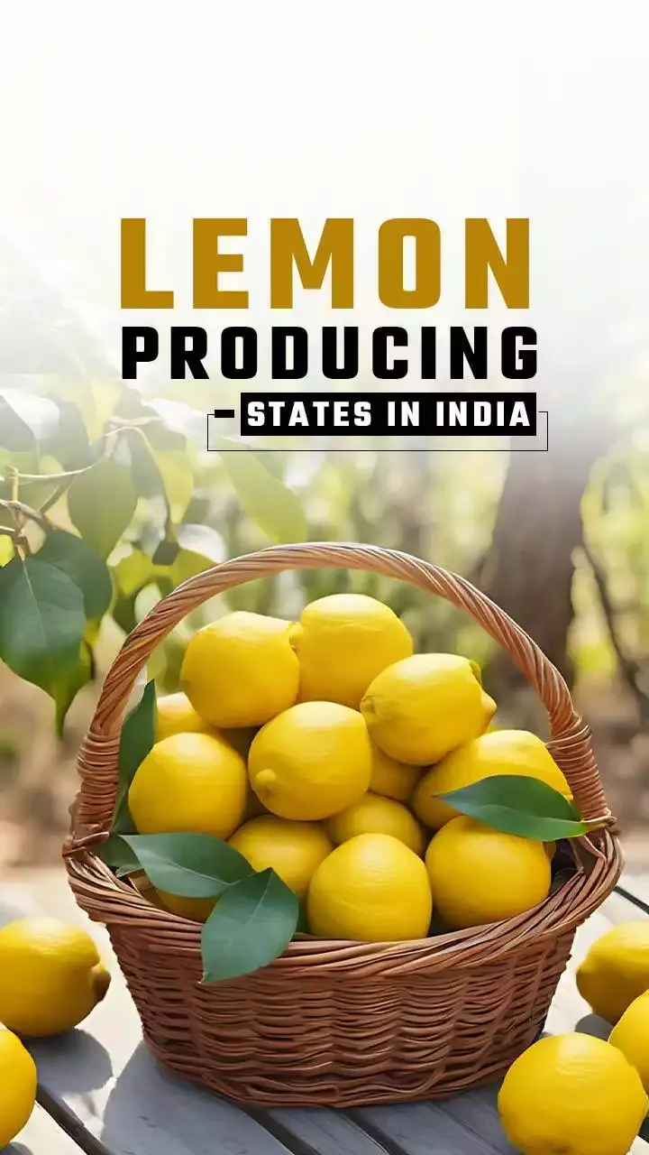 Top 5 Lemon Producing States in India