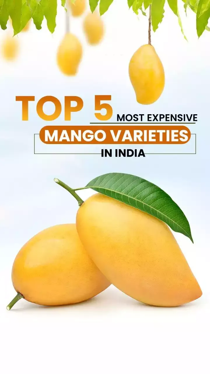 Top 5 Most Expensive Mango Variety in India