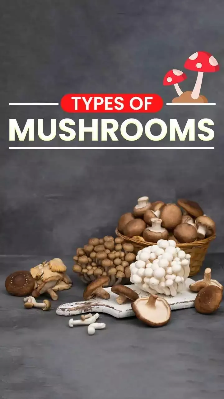 Top 8 Different Types of Mushrooms in India