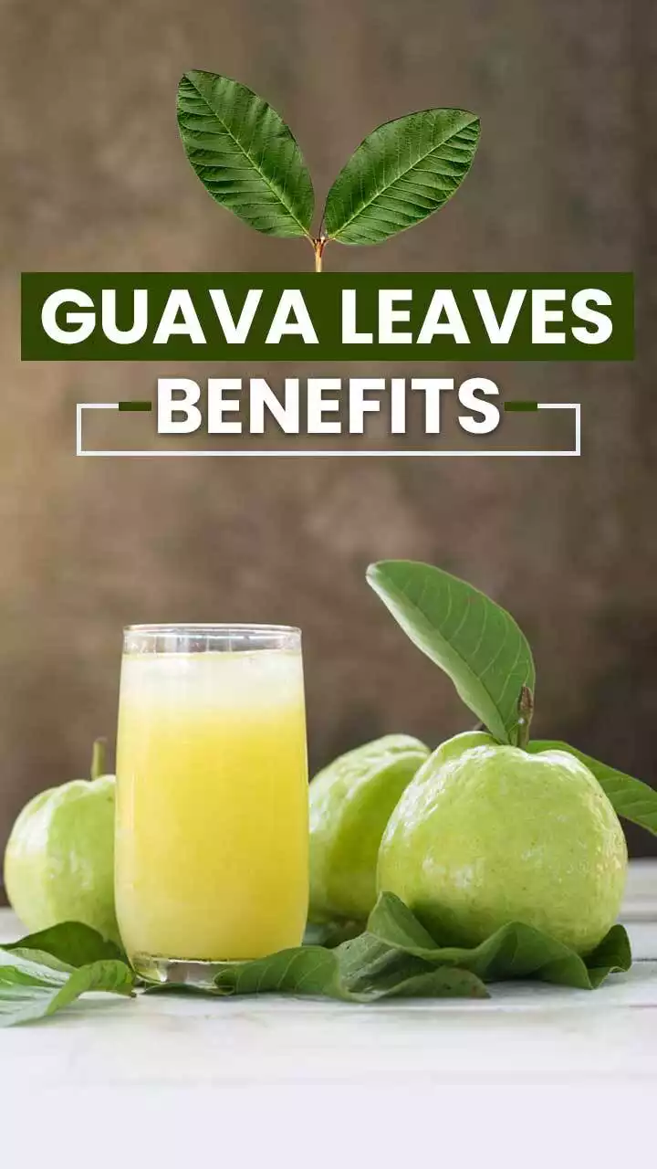 Guava leaf outlet juice benefits